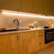 12 Volt Gün Işığı Neon Şerit Led 2