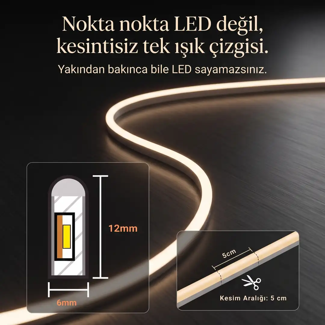 24 Volt Neon Led 3