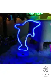 Yunus Neon LED Gece Lambası | USB ve Pilli 2