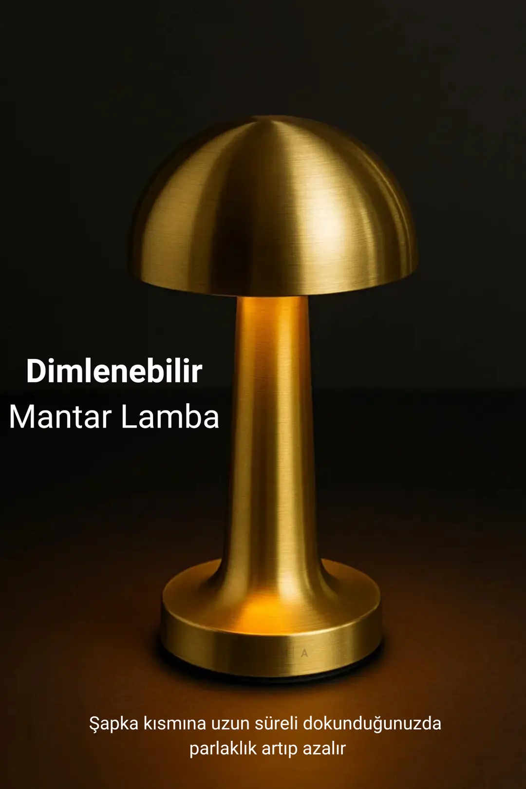 Mantar Masa Lambası