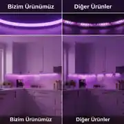 12 Volt Mor Neon Şerit Led 2