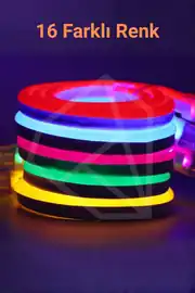 220 Volt RGB Neon Led 3