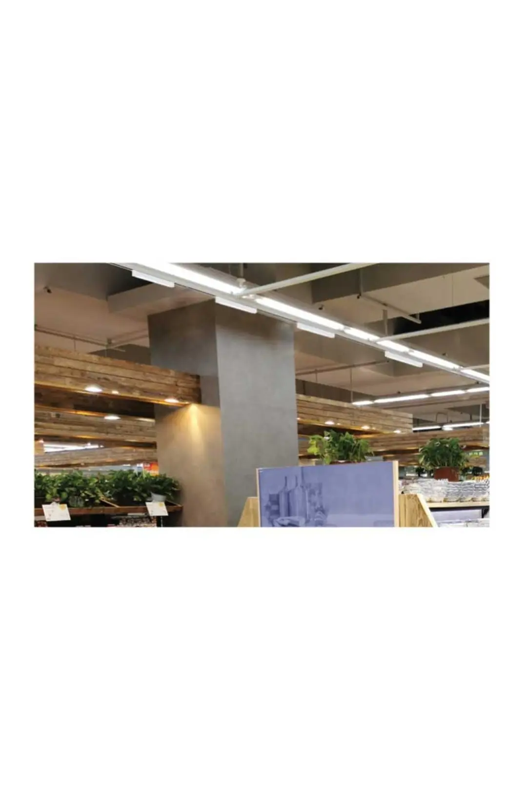 Forlife Beyaz Kasa Rose Lensli Ray Armatürü 10W 4000K Ilık Beyaz FL-5581 Br - ek resim