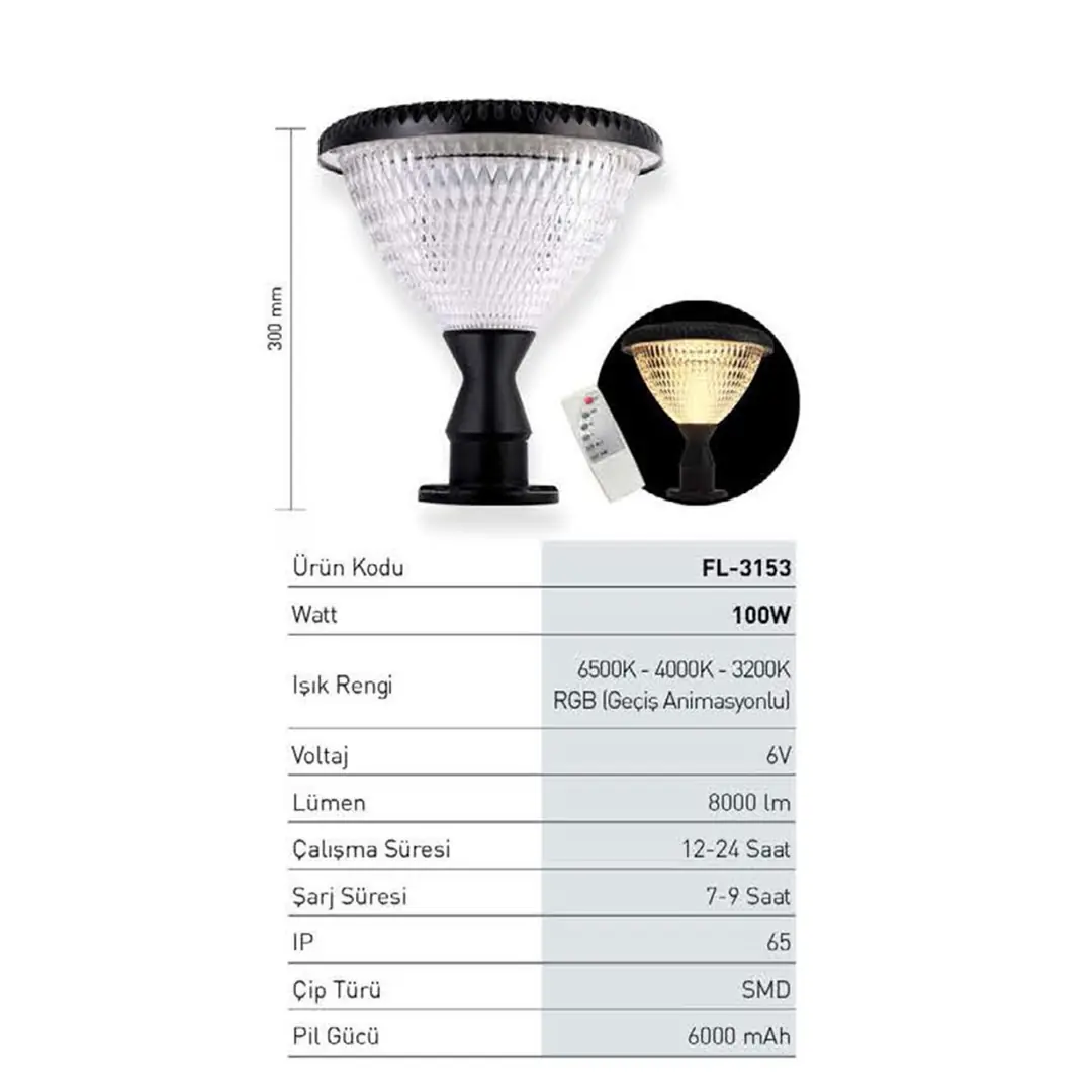 Forlife Solar Güneş Enerjili Sokak Armatürü 100W FL-3153 - ek resim