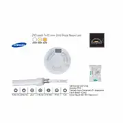 Forlife Neon Led 24V 210 Ledli 5 Metre FL-5129 2
