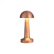Forlife Dekoratif Şarjlı Led Masa Lambası Rose FL-8054 1
