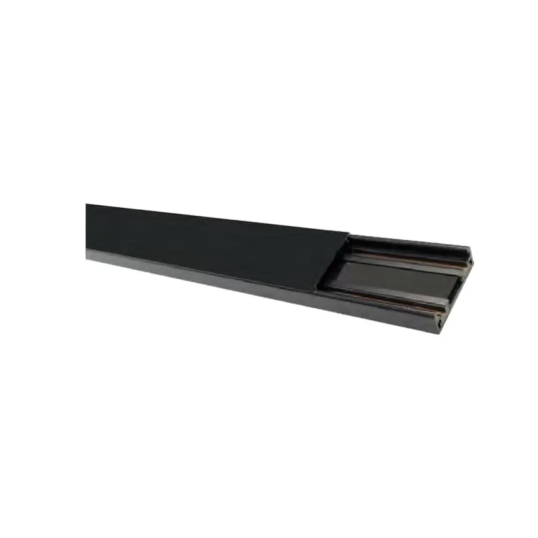 Forlife Pro Magnet Ray 2 Metre FL-5452
